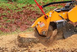 Best Lawn Maintenance Plans  in Reynoldsville, PA